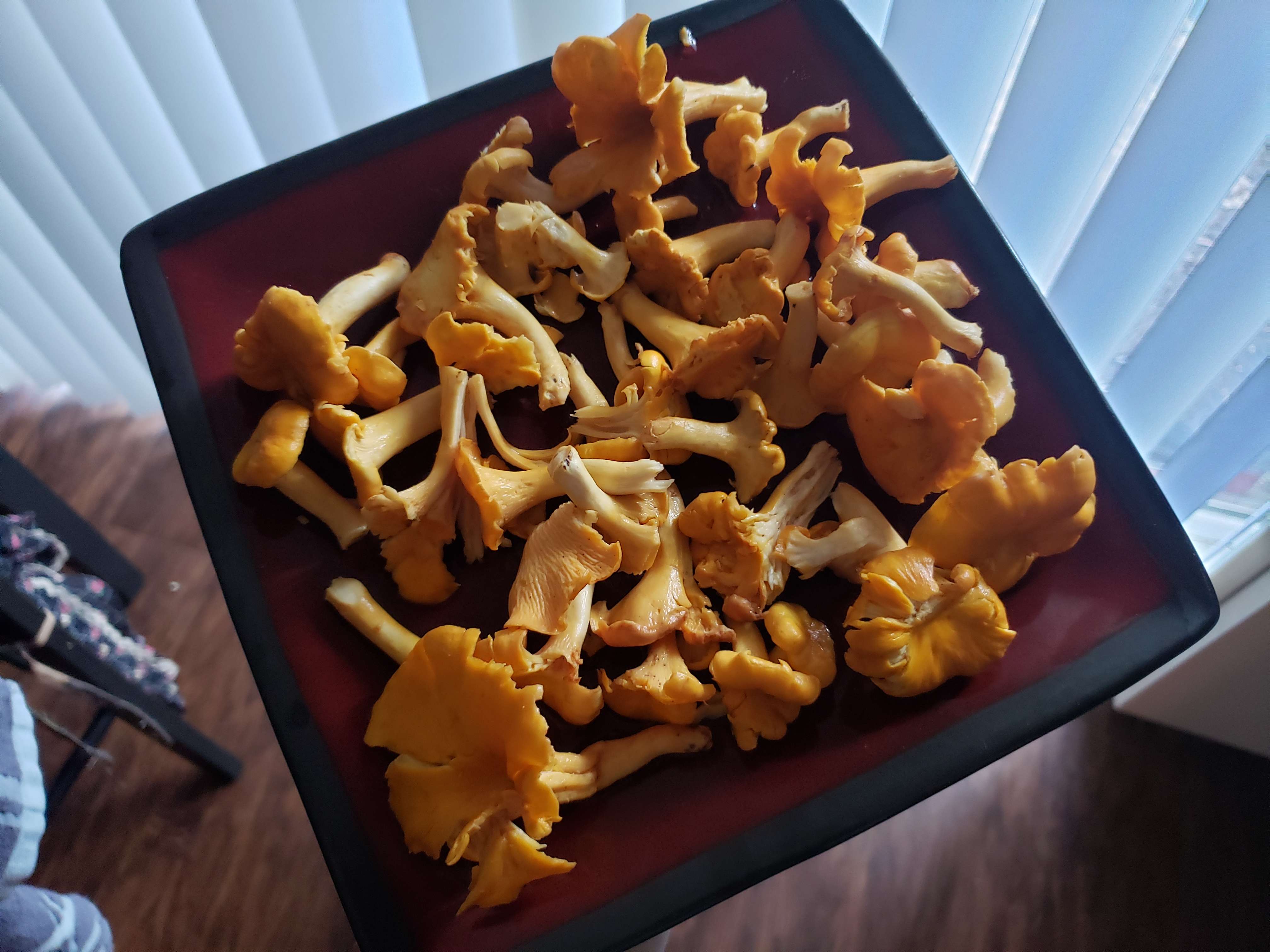 4032 x 3024 chanterelles on plate