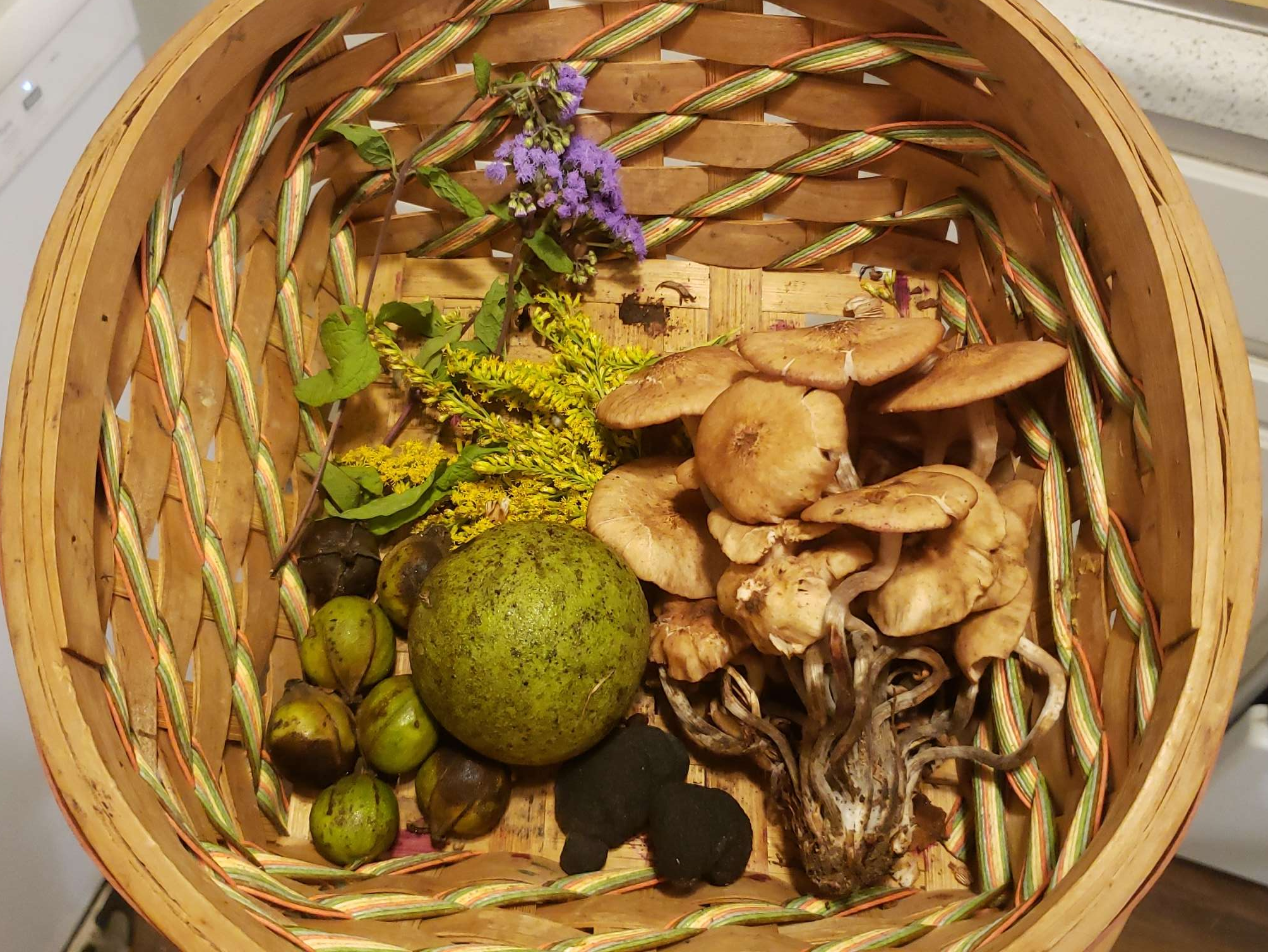 september foraging basket